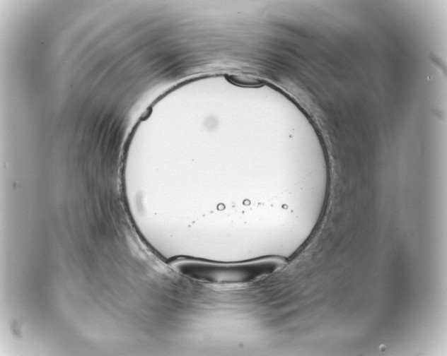 X0000101431296200807280952