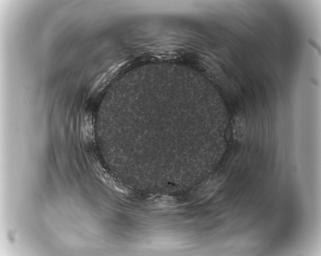 X0000101431298200807280951