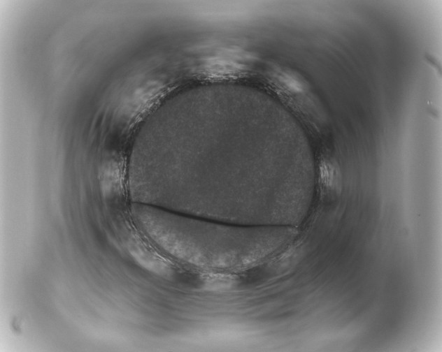 X0000101431300200807280951