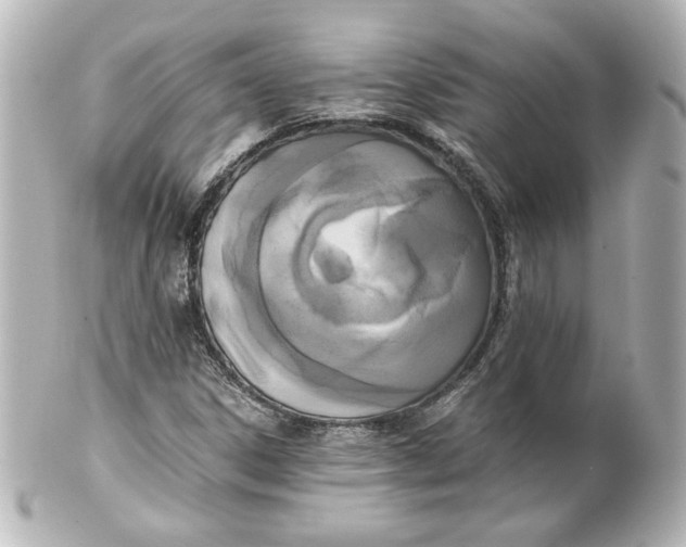 X0000101431306200807280951