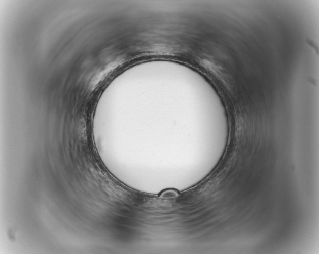 X0000101431307200807280952