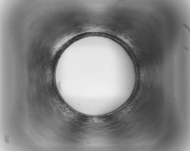 X0000101431311200807280952