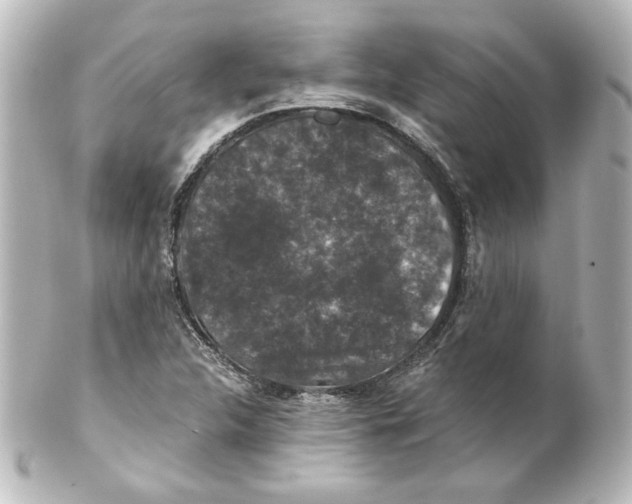 X0000101431312200807280952