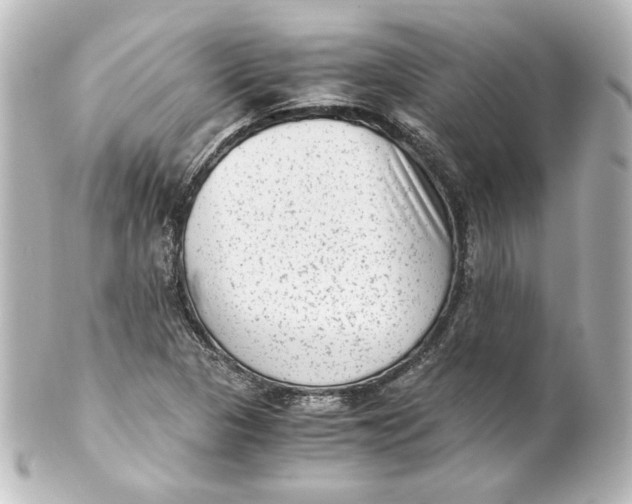 X0000101431313200807280952