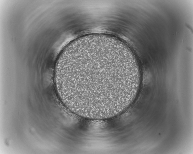 X0000101431314200807280952