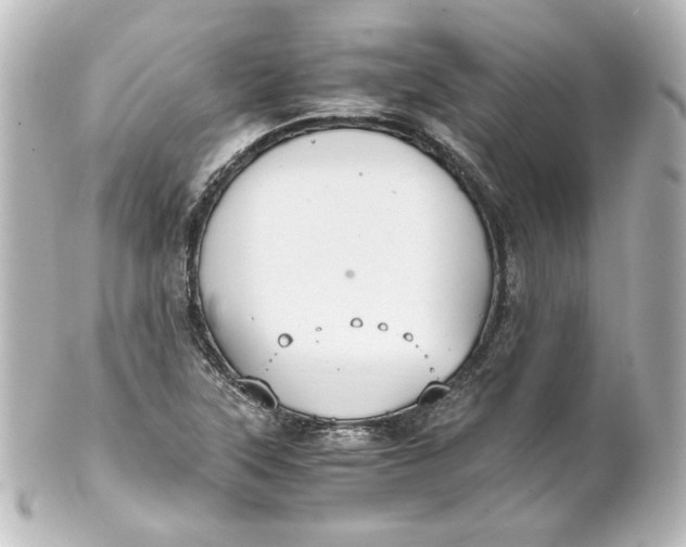 X0000101431315200807280952