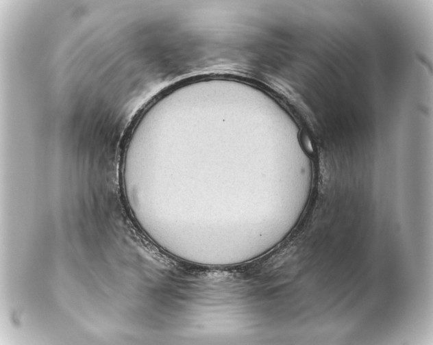 X0000101431316200807280952