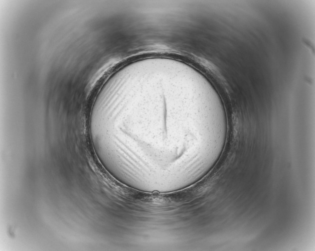 X0000101431318200807280952