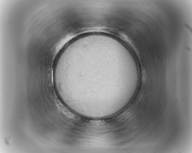 X0000101431320200807280952