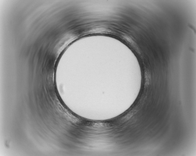 X0000101431322200807280952