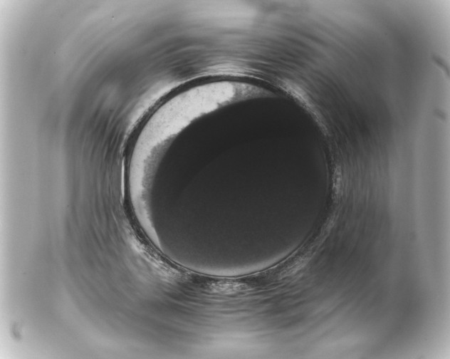 X0000101431323200807280952