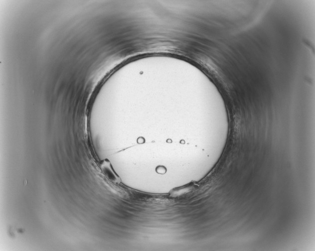 X0000101431324200807280952