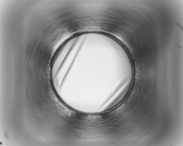 X0000101431325200807280952