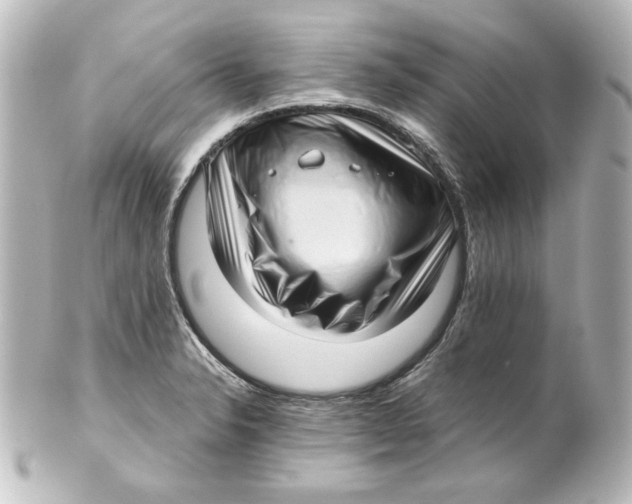 X0000101431326200807280952