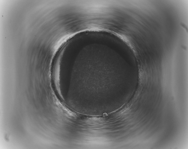 X0000101431327200807280952