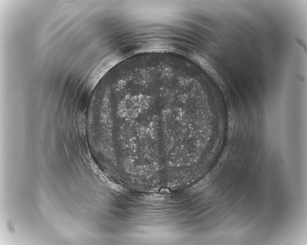 X0000101431329200807280952