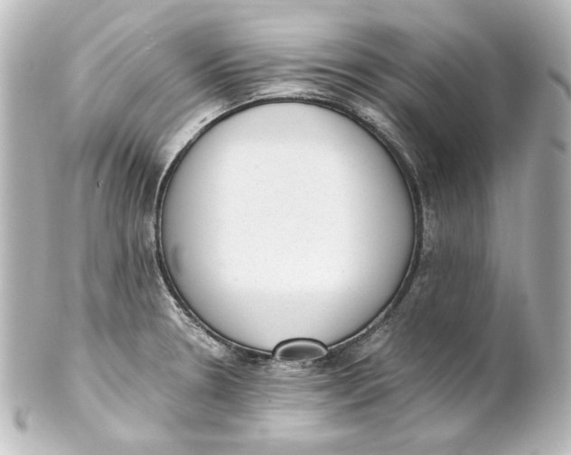 X0000101431330200807280952