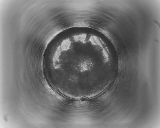 X0000101431331200807280952