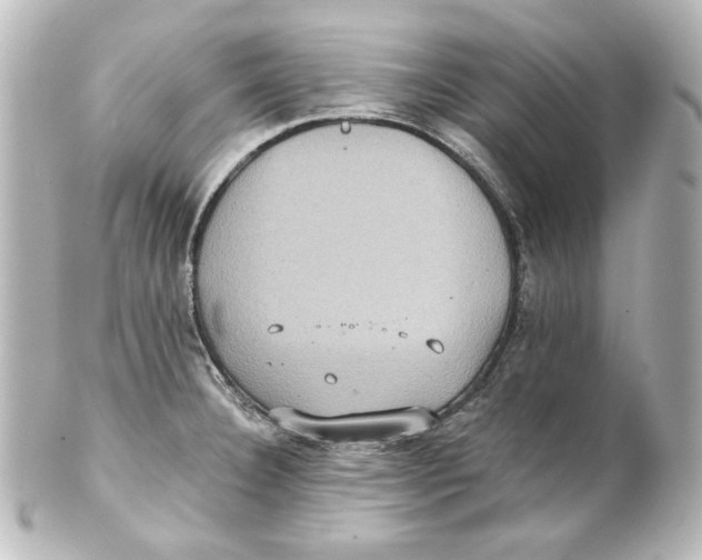 X0000101431332200807280952