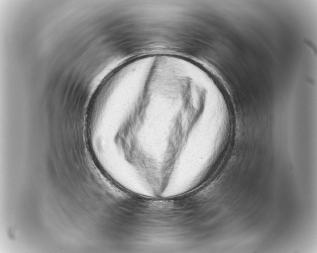 X0000101431333200807280952