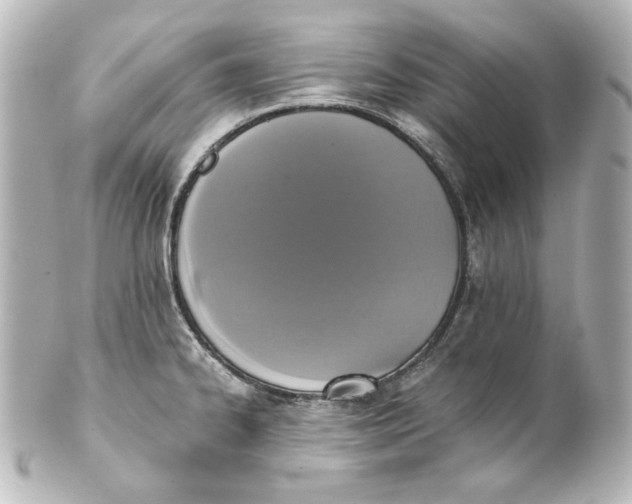 X0000101431334200807280952