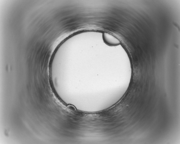 X0000101431335200807280952