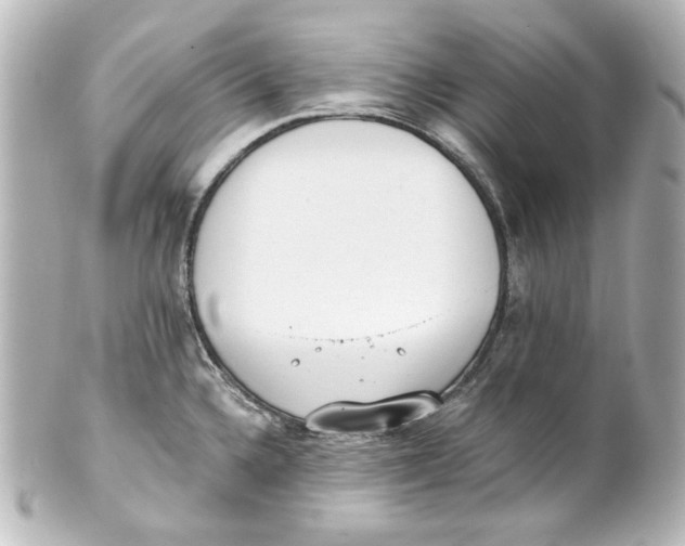 X0000101431336200807280952