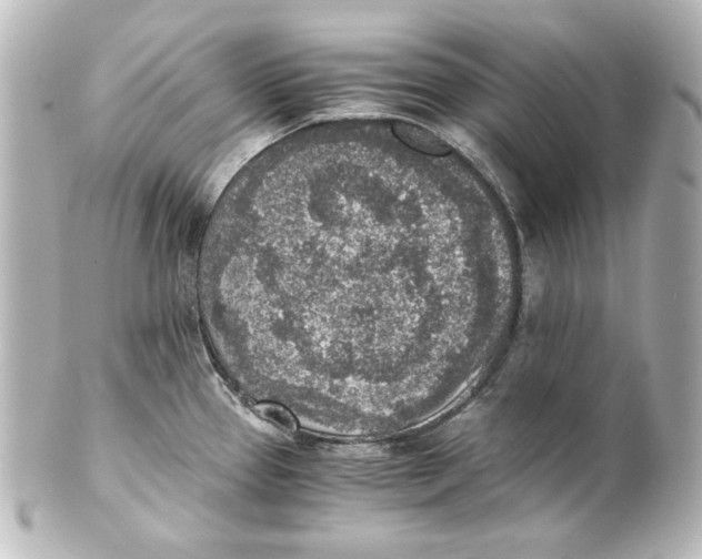 X0000101431337200807280952