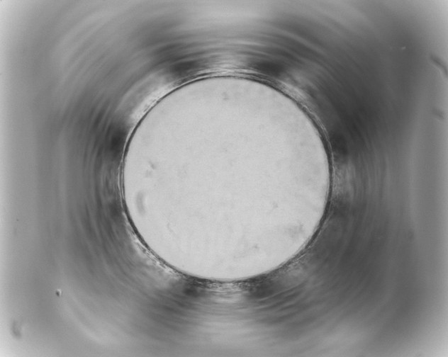 X0000101431338200807280952