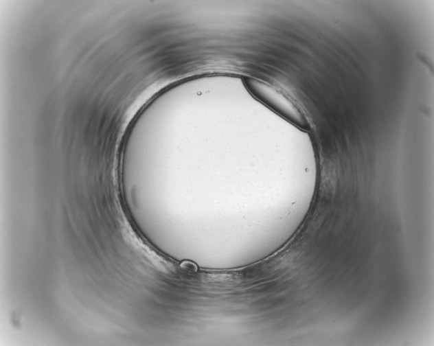 X0000101431339200807280952