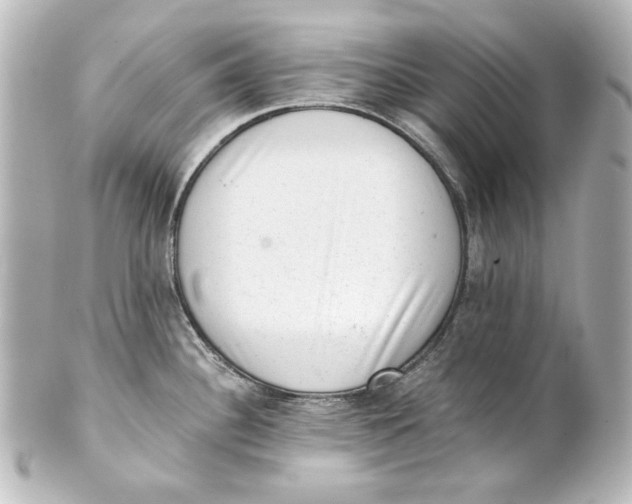 X0000101431340200807280952