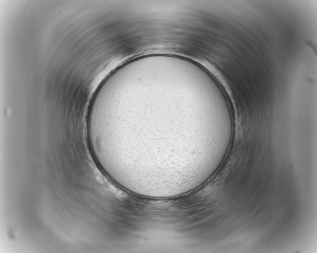 X0000101431341200807280952