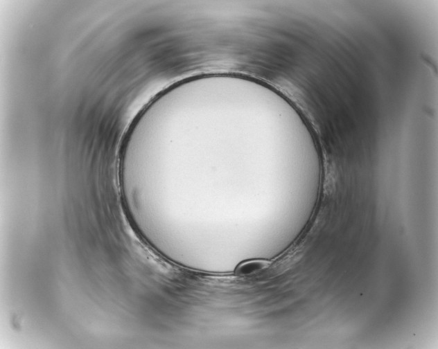 X0000101431342200807280952