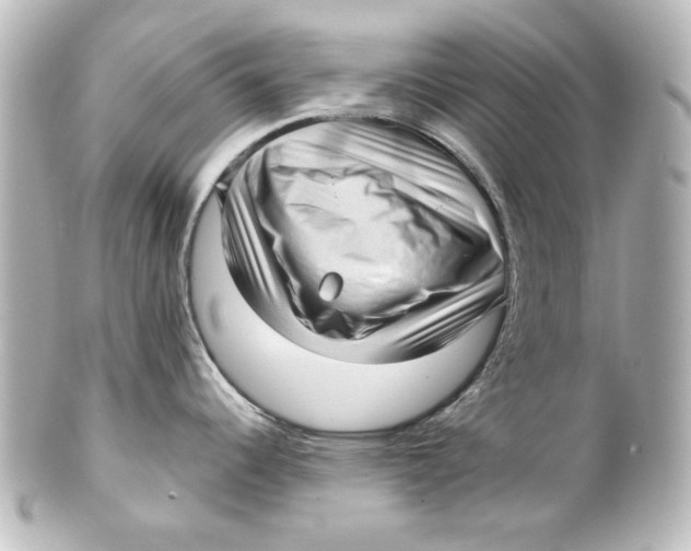 X0000101431344200807280952