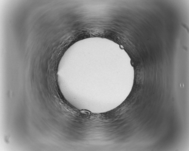 X0000101431345200807280951