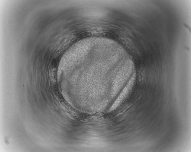 X0000101431346200807280951