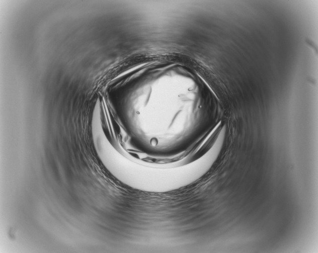 X0000101431348200807280951