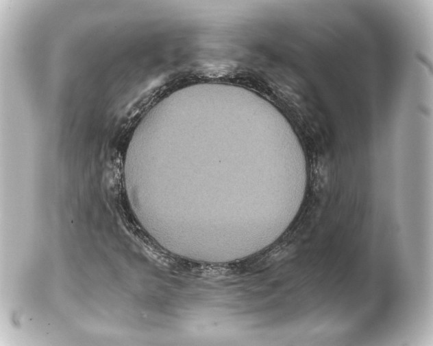 X0000101431349200807280951