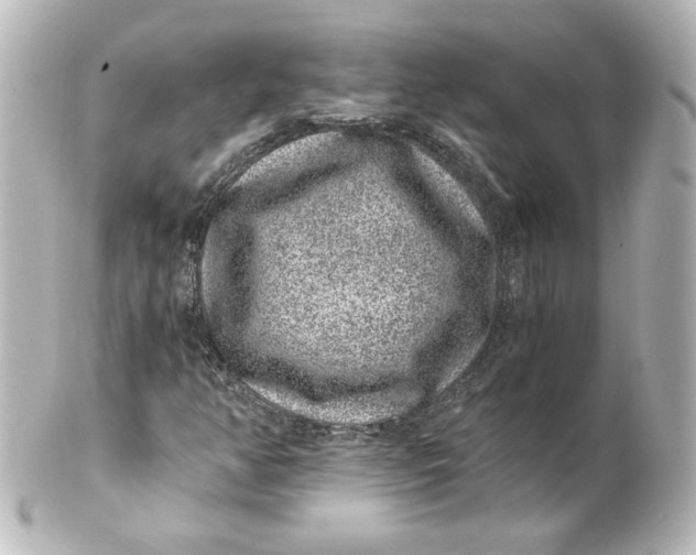 X0000101431350200807280951