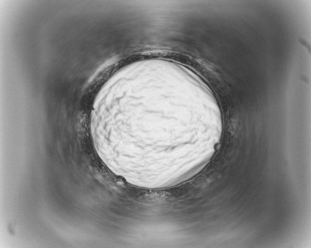 X0000101431351200807280951