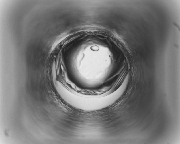 X0000101431352200807280951