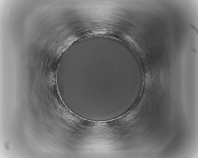 X0000101431353200807280951