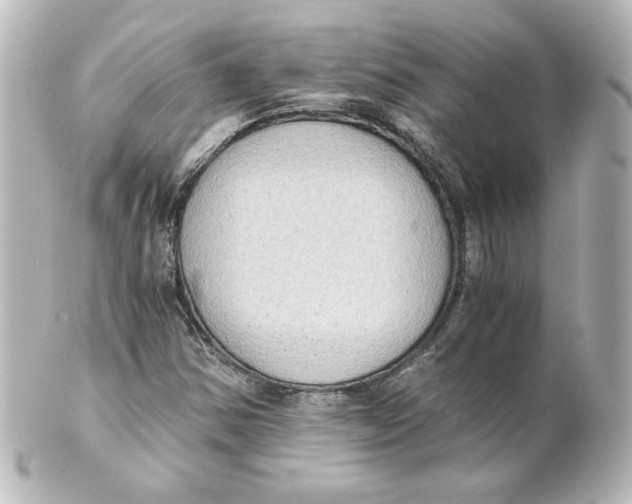 X0000101431354200807280951