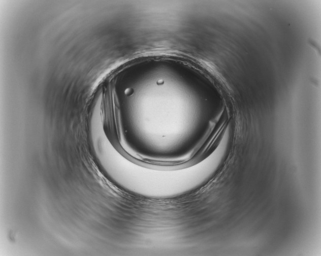 X0000101431356200807280951