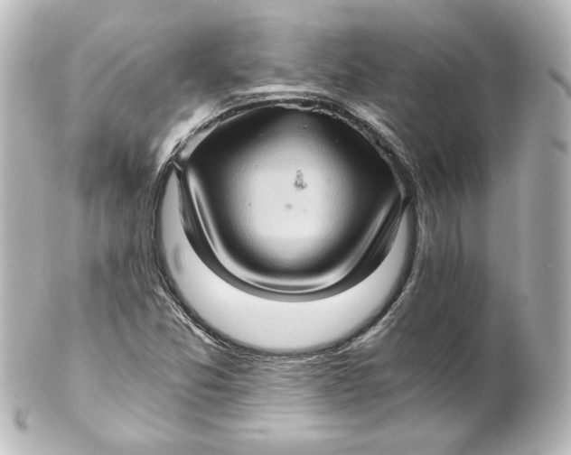 X0000101431357200807280951