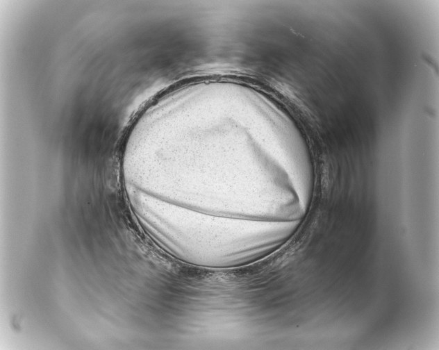 X0000101431358200807280951