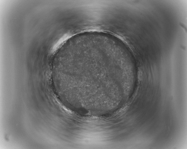 X0000101431359200807280951