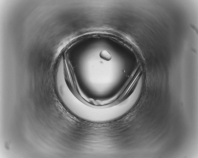 X0000101431360200807280951