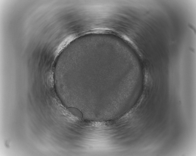 X0000101431362200807280951