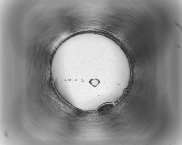 X0000101431363200807280951